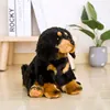 Tibétain Mastiff _ 40cm