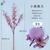 Purple Dancing Orchid DG
