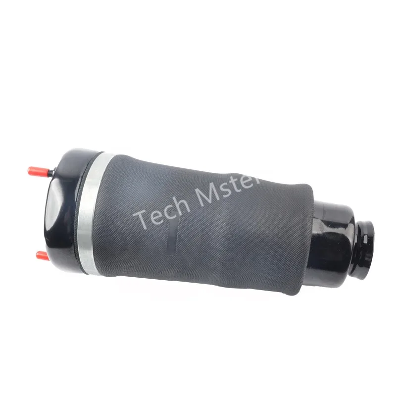 W251 airmatic (4)