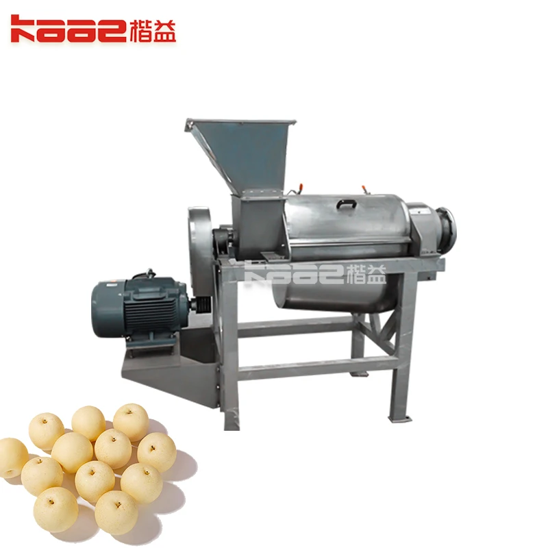 best apple juicer machine