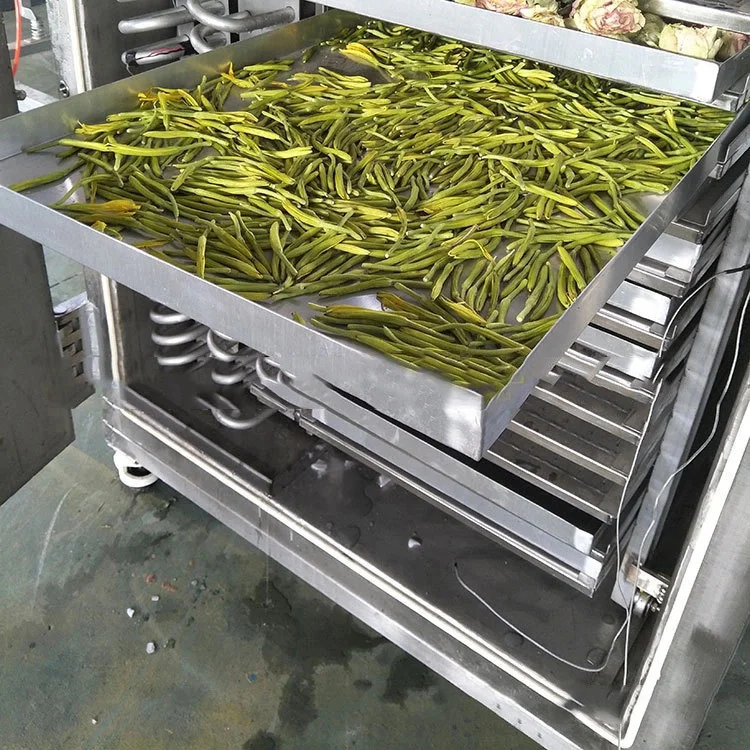 Agricultural Freeze Dryer Freeze Spray Dryer Cannafreeze Freeze Dryer