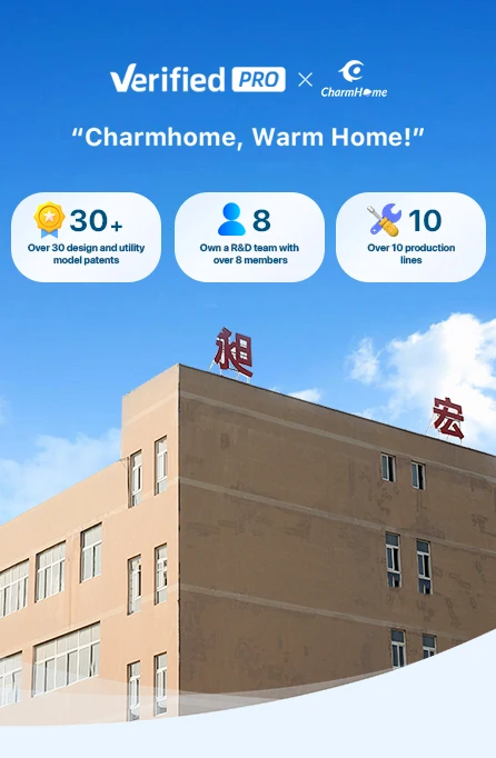 Customized Electric Toothbrush Factory Hot Selling IPX7 Sonic Electric Toothbrush With Customizable logo supplier
