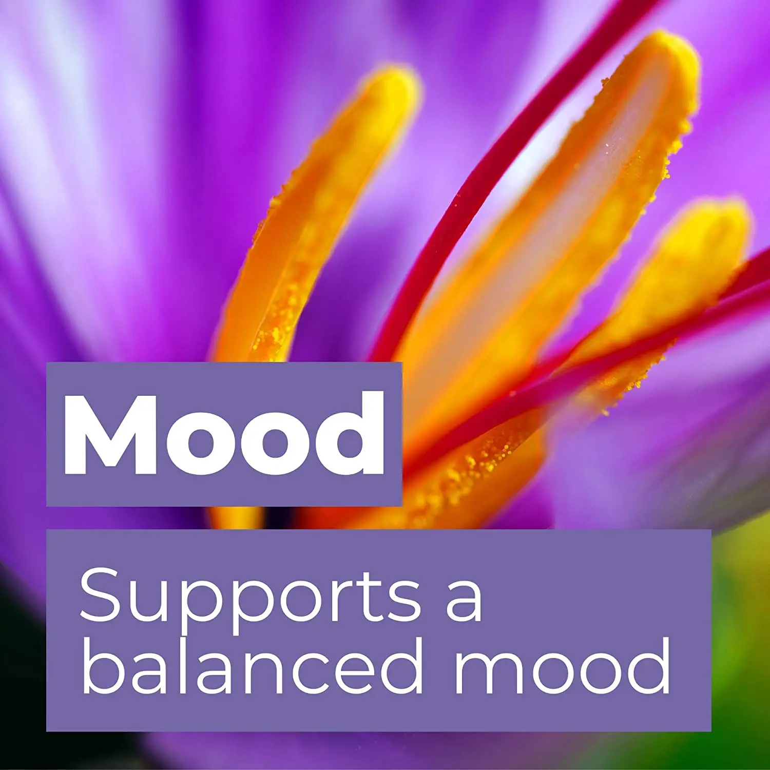 藏红花提取物胶囊增强能量和情绪胶囊抗氧化剂批发藏红花胶囊