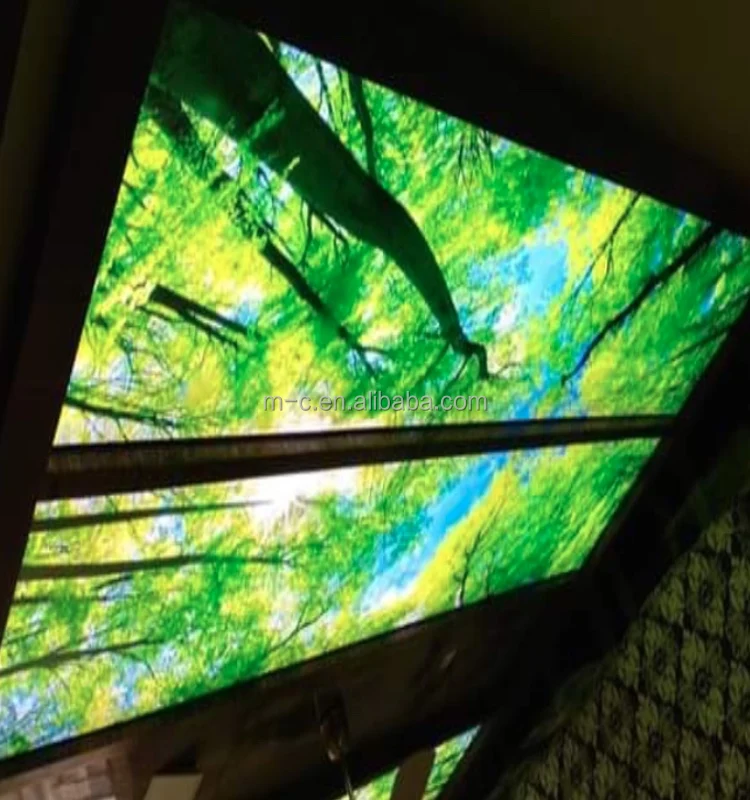 tree sky ceiling 