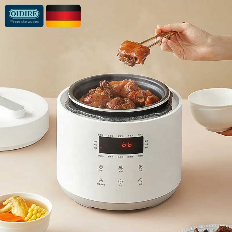 New Design Smart Soup Cooker Europe German Electric Pressure Cooker Thermostat