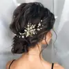 Feuilles dorées