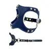 C11 - Navy