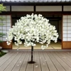 White 04