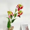 Flame Lily