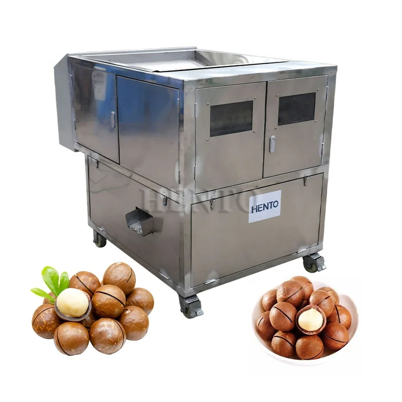 PRETYZOOM 25 Pièces ouvre-Fruits ustensile de Cuisine Outil Cuisine ouvre- Noix de Macadamia Portables ouvre-Coquille de de pécan décortiqueur de Noix en métal Mini-Casse-Noix PRETYZOOM 25 Pièces ouvre-Fruits ustensile de Cuisine Outil Cuisine ouvre- Noix de Macadamia Portables ouvre-Coquille de de pécan décortiqueur de Noix en métal Mini-Casse-Noix