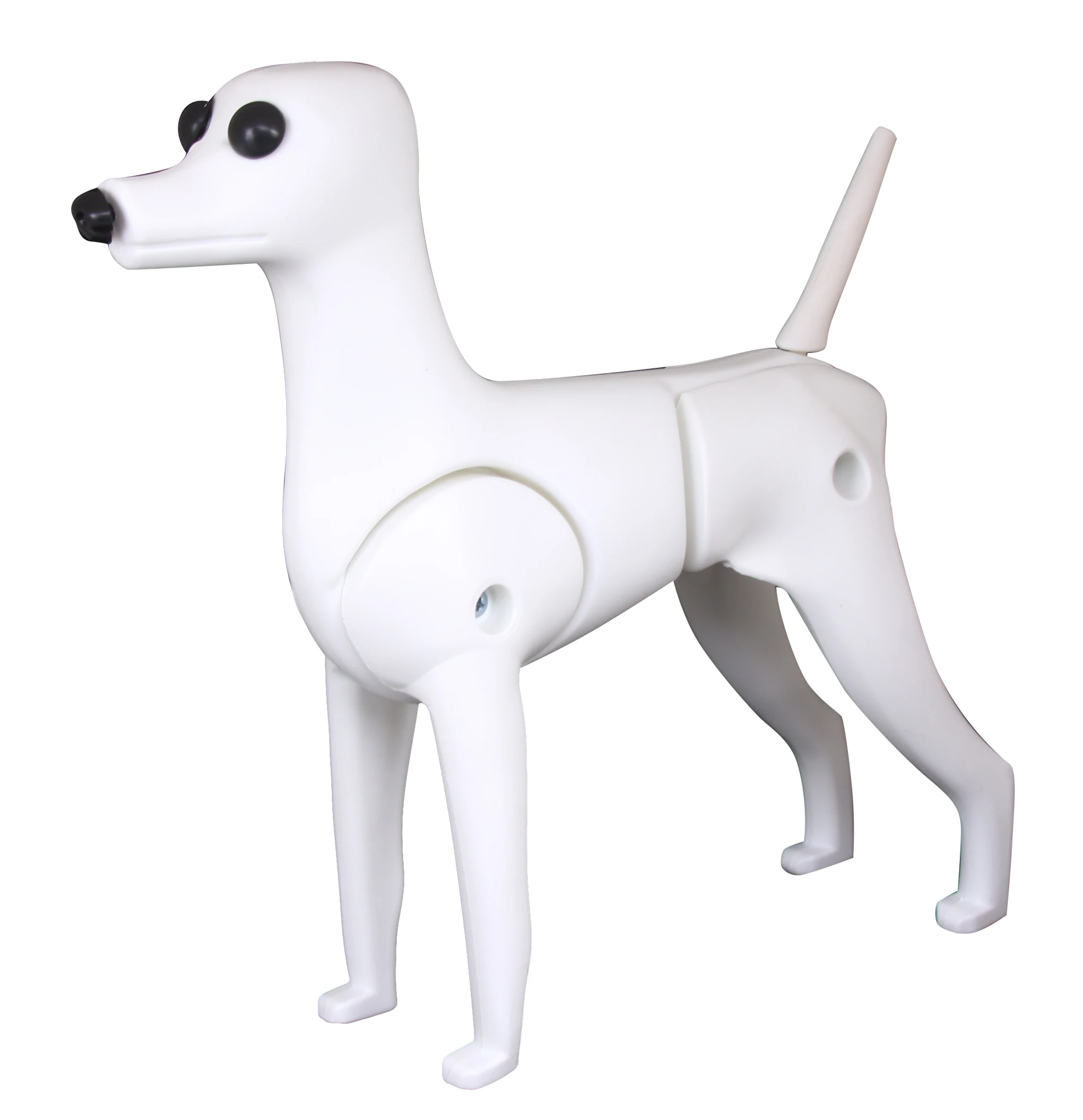 New Model Dog 3-in-1 Mannequin for Pet Grooming - China Model Dogs and for  Grooming Salon price