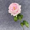 สีชมพู