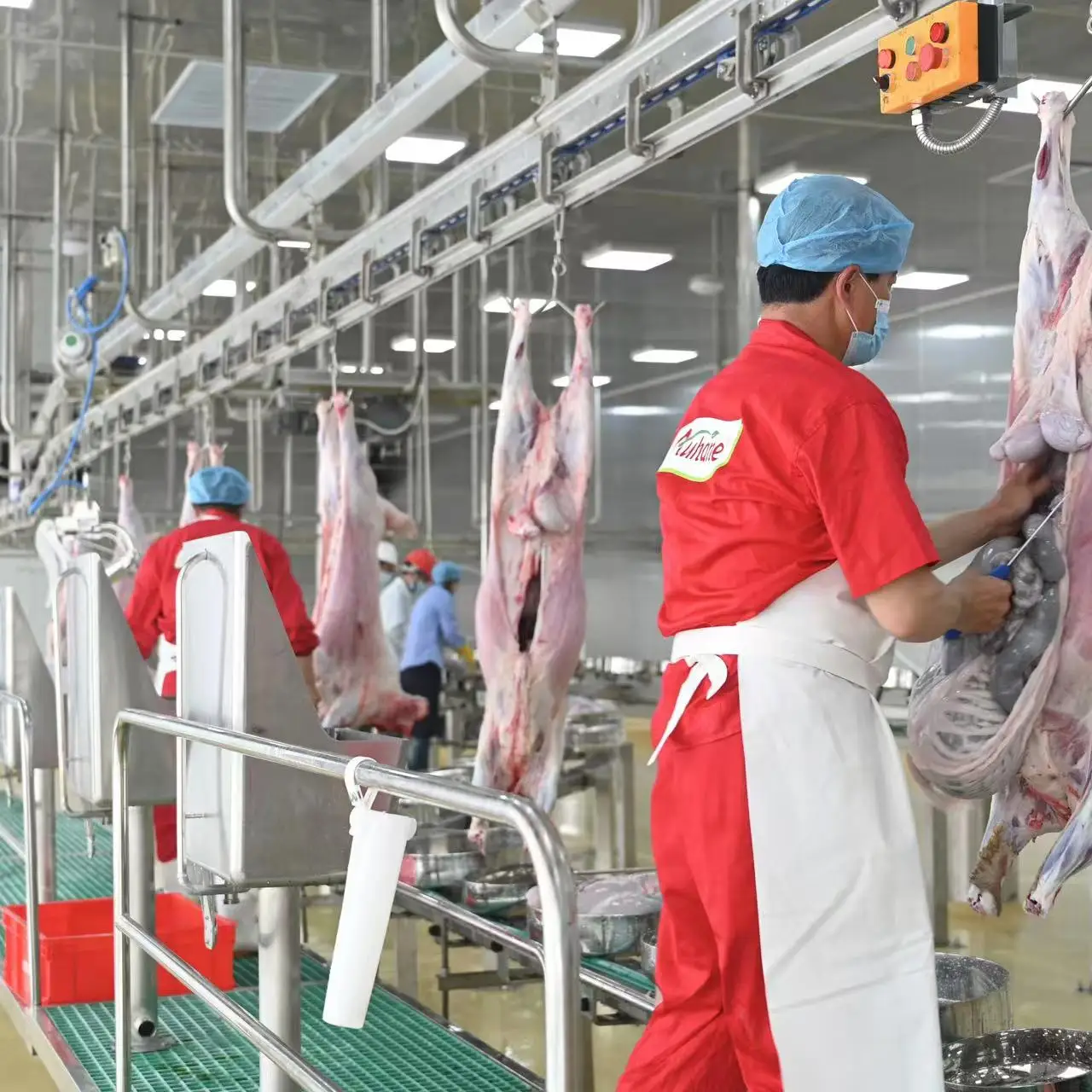 Complete halal sheep slaughterhouse equipment for mutton and goat processing