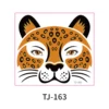 TJ-163