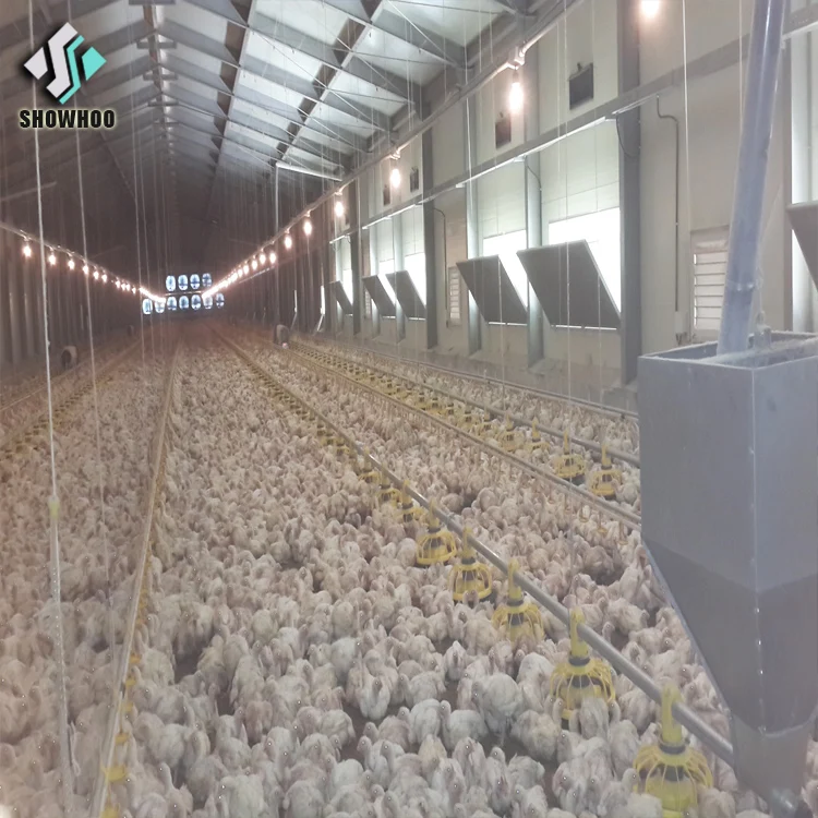 Low Cost Steel Structure Architectural Shed Design Poultry Farm House Construction