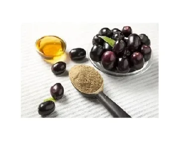 Wholesale Jamun Extract Powder Natural Syzygium Cumini Extract Rich in Antioxidants Bulk Supply for Supplements