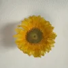 5#