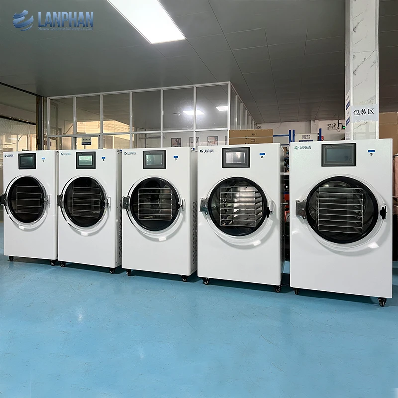 Lanphan Large Capacity Medical Laboratory Pilot Freeze Dryer Price
