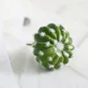 Cactus da 6 cm