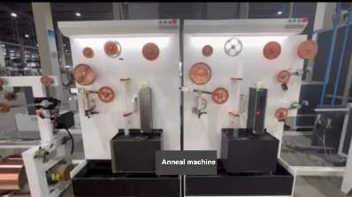 Annealing machine.jpg