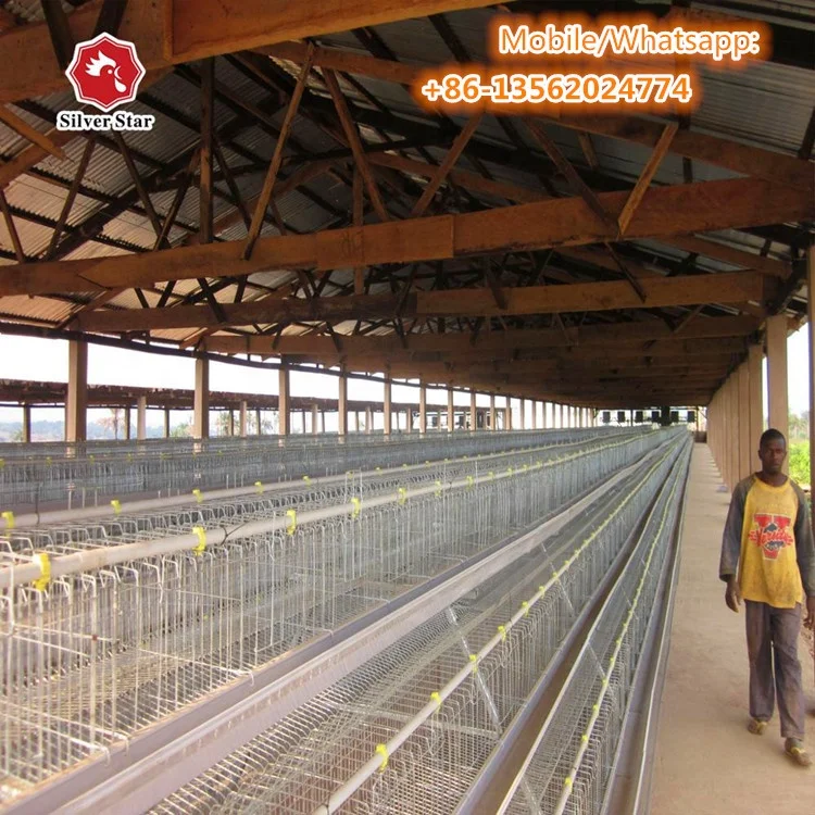 Manufacture Best Price Automatic Egg Collecting Equipment System