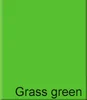 100pcs 4K 200gsm grama verde