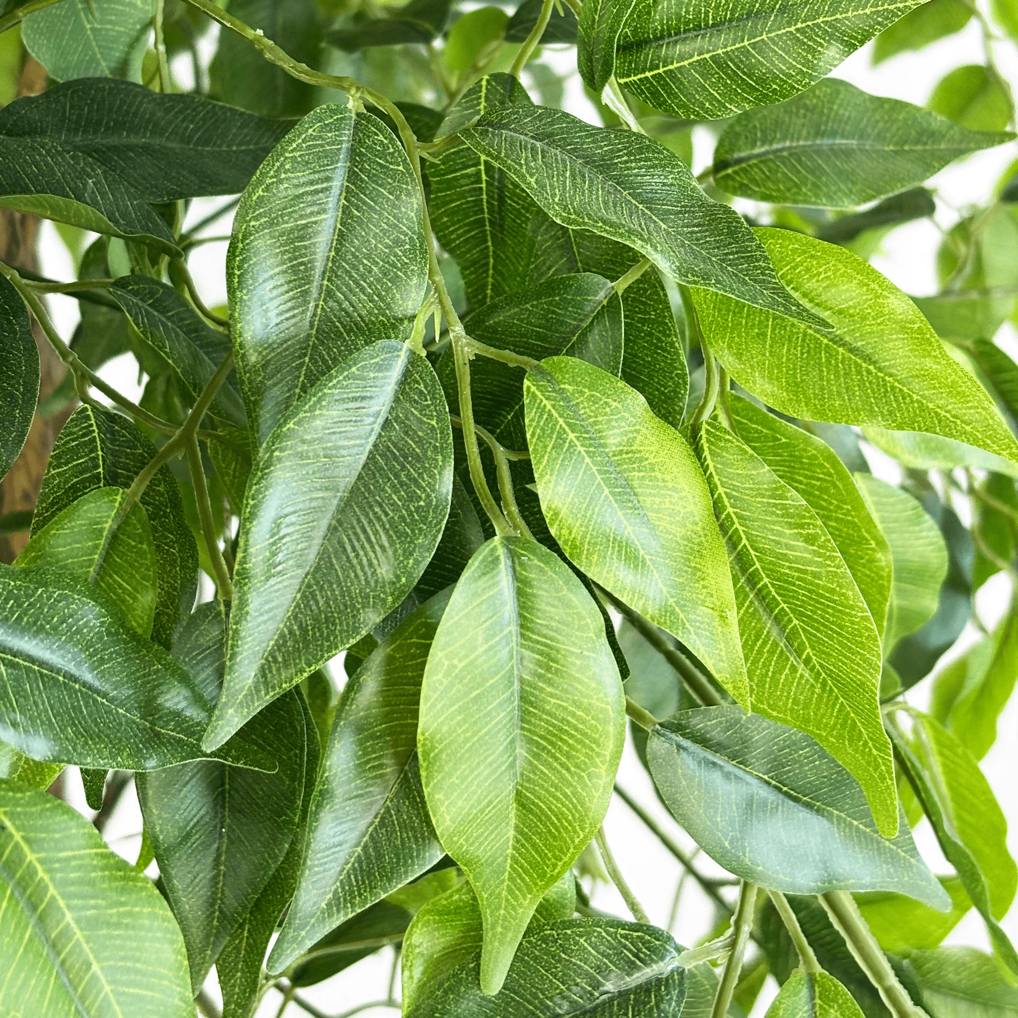 细节图2