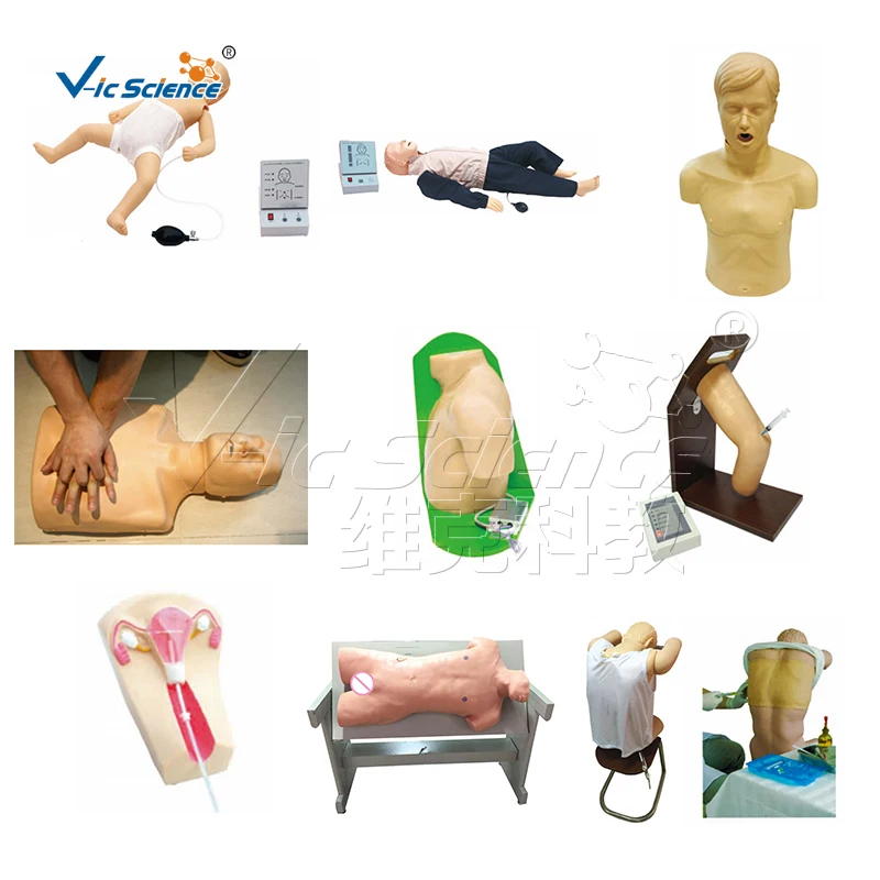 Nursing Training Manikins Fully Functional Trauma Caregiver Training Manikin Model