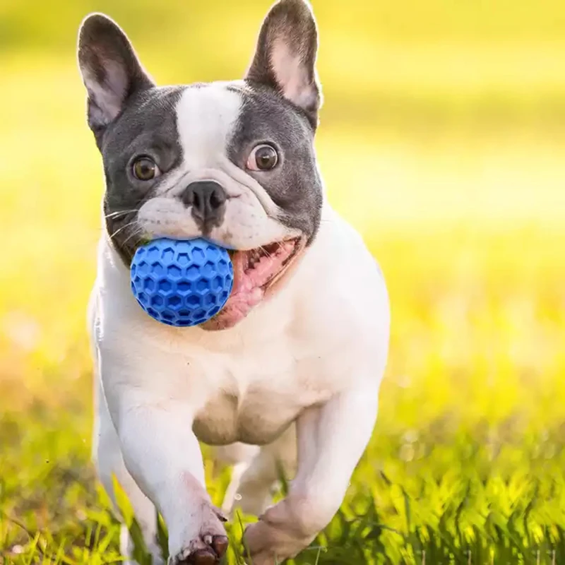 Pet Products Factory Spot Petsfond Explosion Cross Border Bite Resistant Interactive Throwing Dog Toys