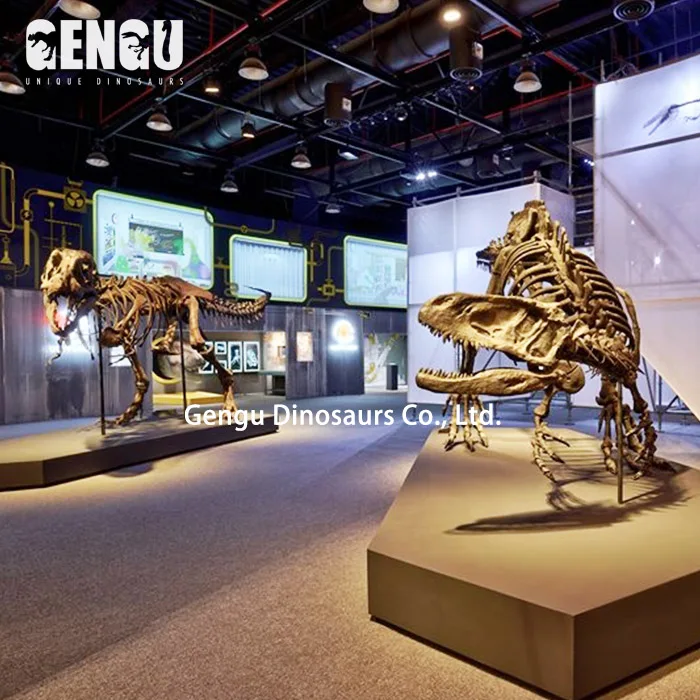 Artificial Dinosaur Skeleton Model Fiberglass Dinosaur Bones for Sale