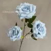 bleu clair