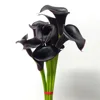 Calla lily black-1 tie 10 sticks