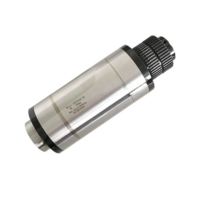 Vertical Installation Belt Driven Spindle Manual Tool Change  ISO40  6000rpm OD 100mm Cnc Milling Spindle