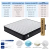 T02-2025 canton fair highlight model