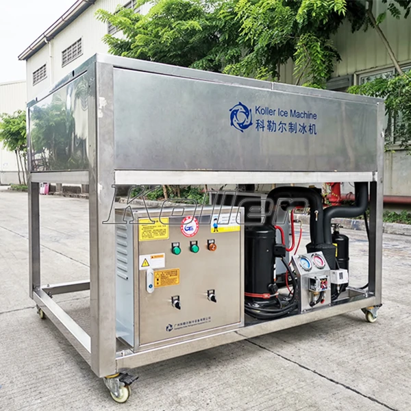 CE Approved Transparent Block Ice Making Machine 100kg Per Day Clear Pure Ice Cube Sphare Ice Ball for Bar Restaurant Hotel