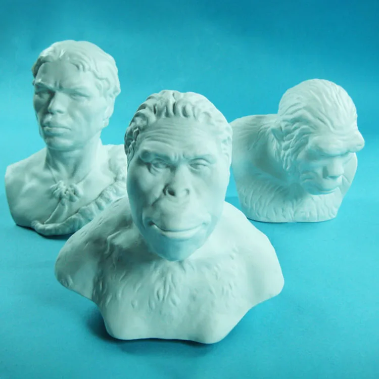 生物学教育補助解剖学的人間進化モデルセット| Alibaba.com