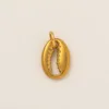 Small shell-2