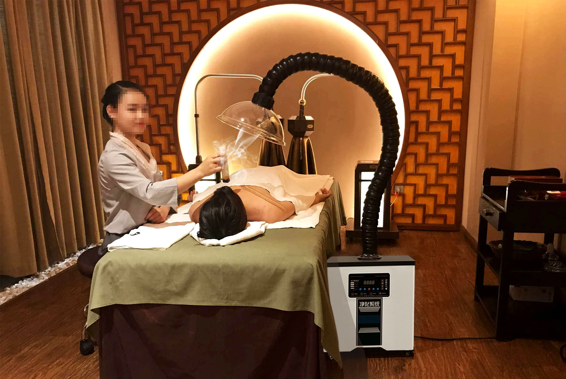 Co2 Laser Cutting Safe DZF Series Beauty Salon Fume Extractor