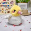 authentic duai cockatiel 12cm