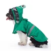 Green frog