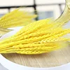 gh-001-bright yellow-50 stems