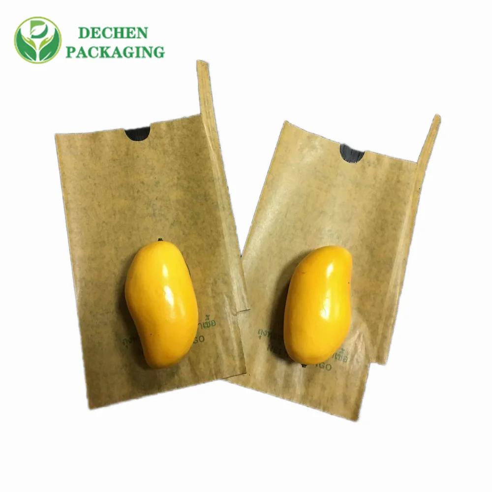 Le biodégradable d'agriculture de mangue perfore les sacs de papier cirés adaptés aux besoins du client par sac de protection de fruit