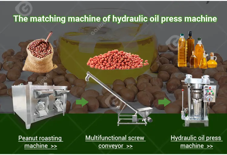 Coocking Make Olive Extruder Baobab Chilli Seed Extraction Cooking Extractor Sacha Inchi Oil Press Machine