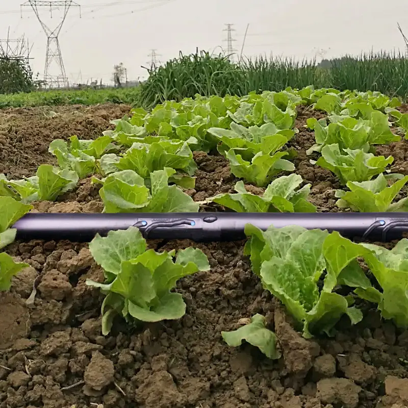 1ha D’irrigation Par Tuyau De Pluie Avec Raccords