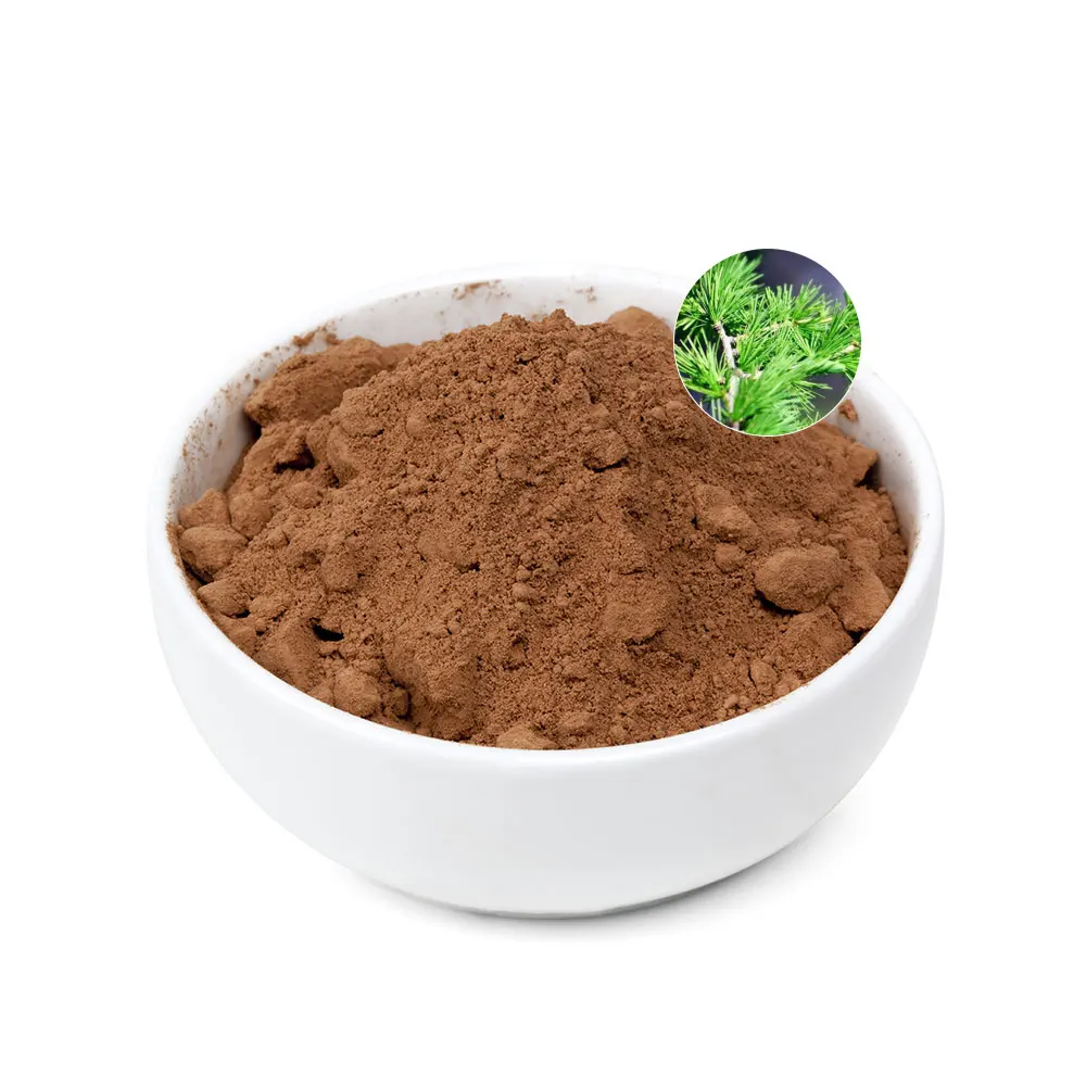 Natural Pine Needle Extract Powder Skin Care Herbal Extract Pine Needle Powder