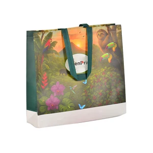 Wholesale Customization Eco-friendly Non-woven Fabric Multiple Color Options logo Printing Available Non-woven Bag Supermarket