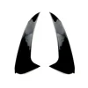 Noir brillant
