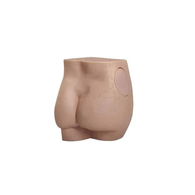 DARHMMY Medical Science PVC Buttock Injection Practice Model for Schools and Hospitals for Training