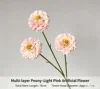 Rosa peonia mille strati