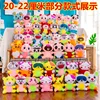 20 ซม.